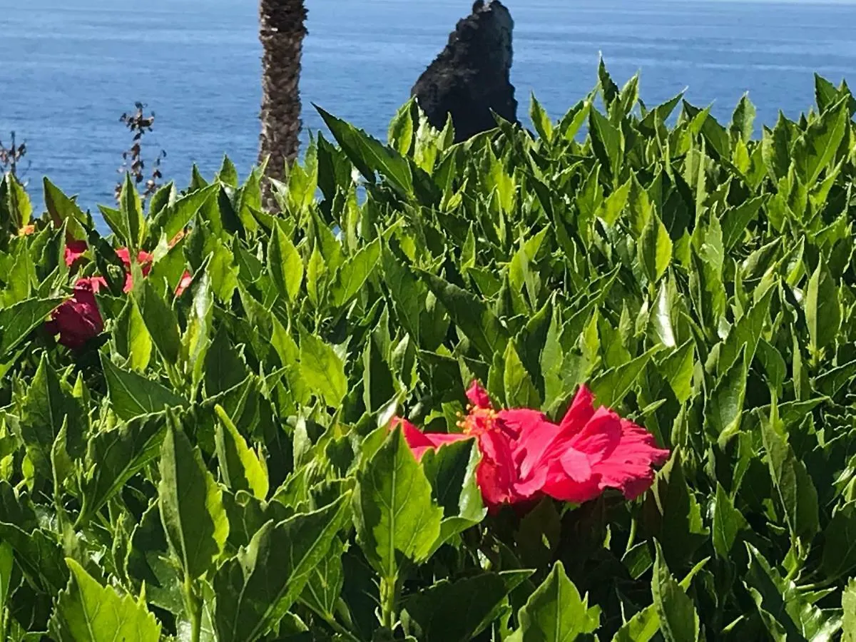 Apartamentos Do Mar Funchal  Funchal (Madeira)